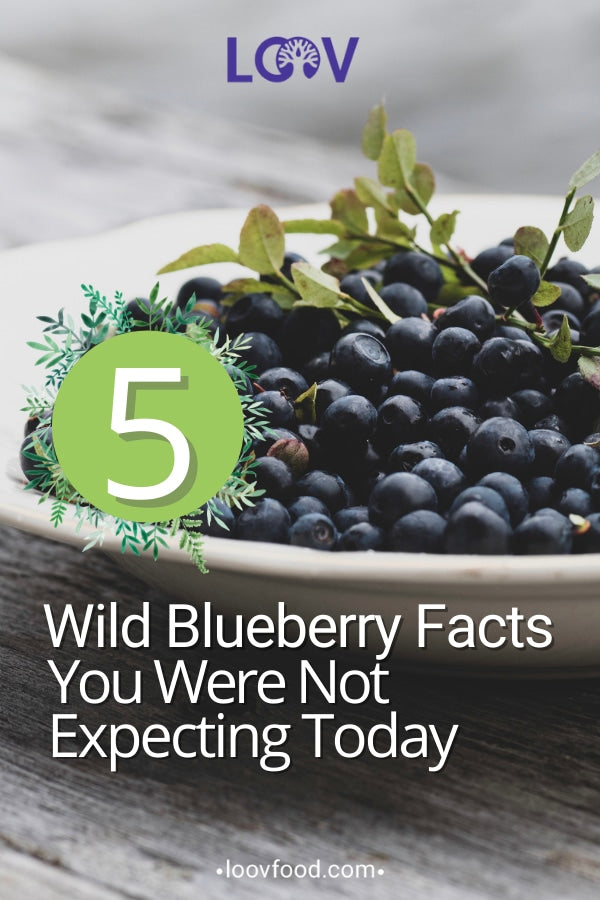 Share Pinterest pin 5 wild blueberry facts