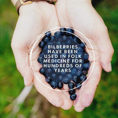 Nordic Wild Blueberries