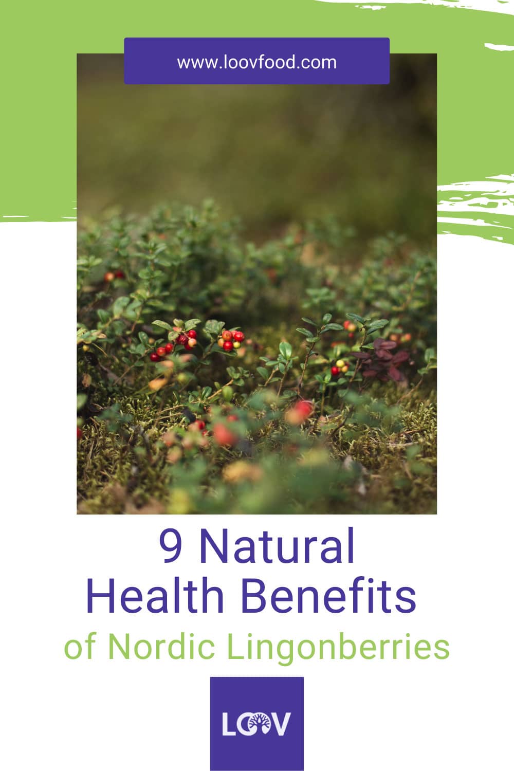 Pinterest pin 9 natural health benefits