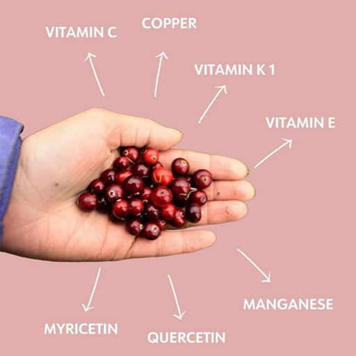 vitamins and trace minerals in freeze-dried cranberries