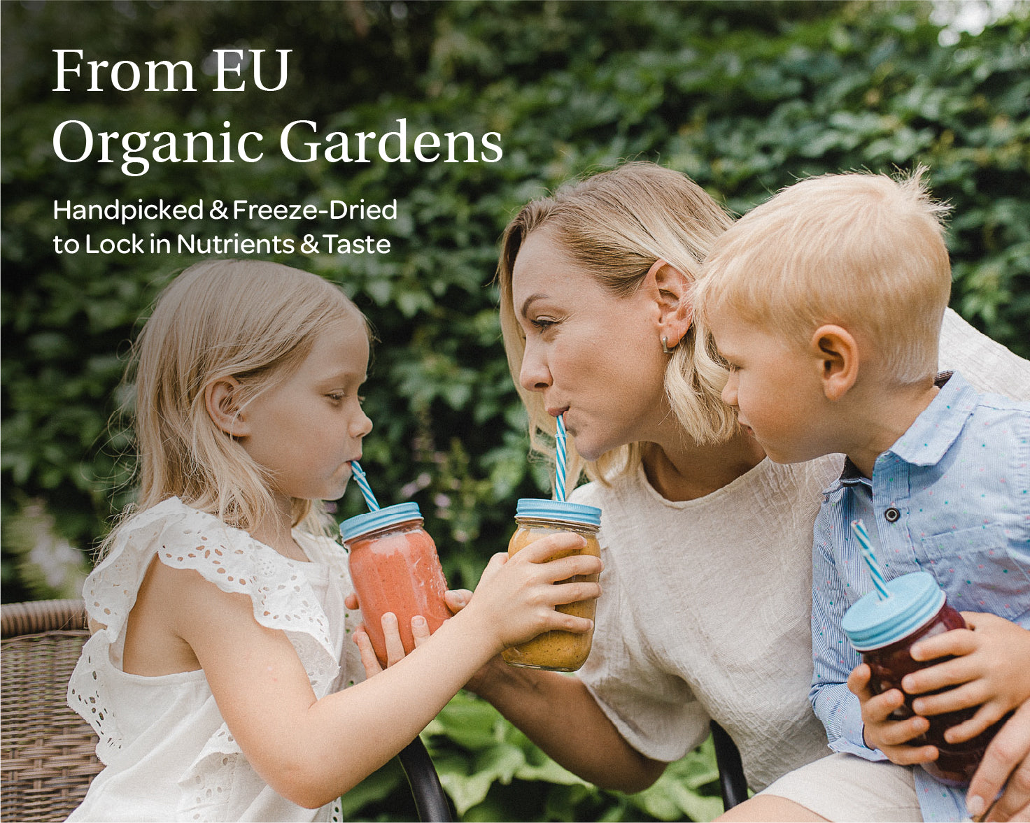 “A stand-up pouch of LOOV Freeze-Dried Organic Raspberry Powder with red and white packaging, showing raspberries on the front. Beside the pouch is a small heap of bright red raspberry powder.”