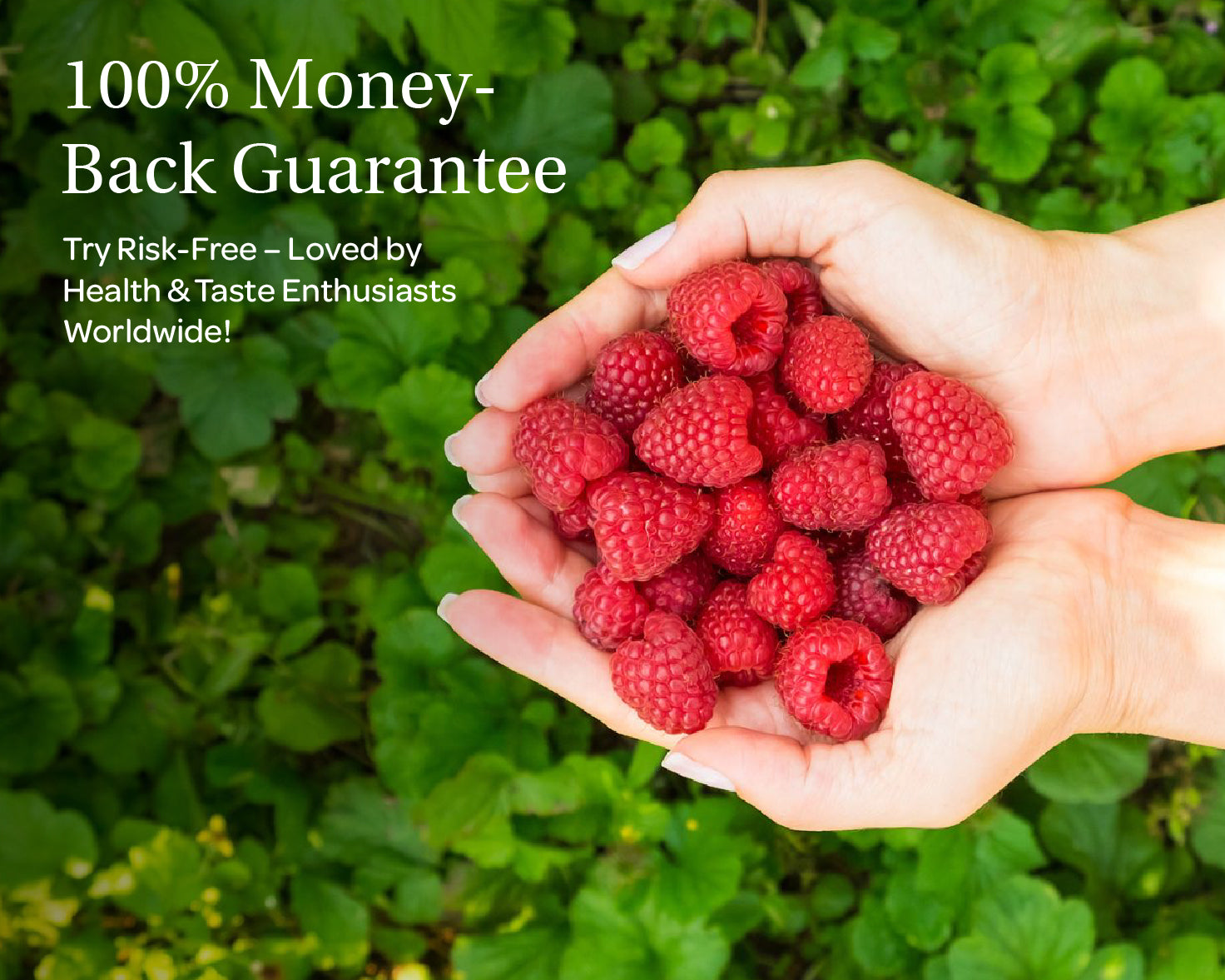 “A stand-up pouch of LOOV Freeze-Dried Organic Raspberry Powder with red and white packaging, showing raspberries on the front. Beside the pouch is a small heap of bright red raspberry powder.”