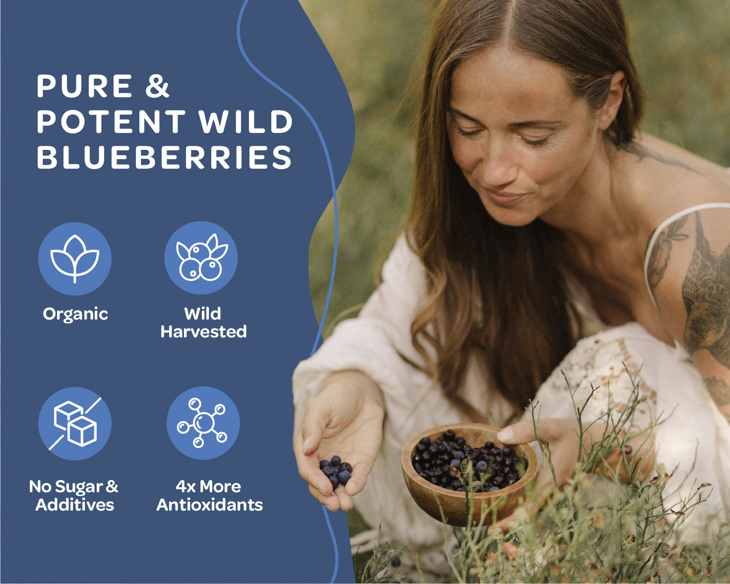 “A stand-up pouch of LOOV Organic Wild Blueberry Powder in blue and white packaging with images of wild blueberries and a small pile of deep purple powder displayed in front.”