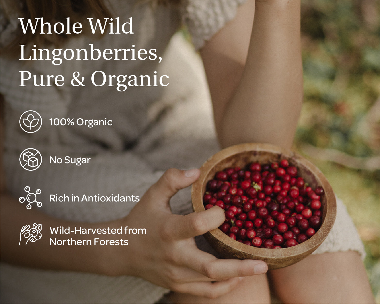 “A stand-up pouch of LOOV Freeze-Dried Organic Whole Wild Lingonberries in red and white packaging, with the words ‘Organic Wild LINGONBERRIES Whole Berries’ and a small pile of red freeze-dried berries positioned in front of the pouch.”