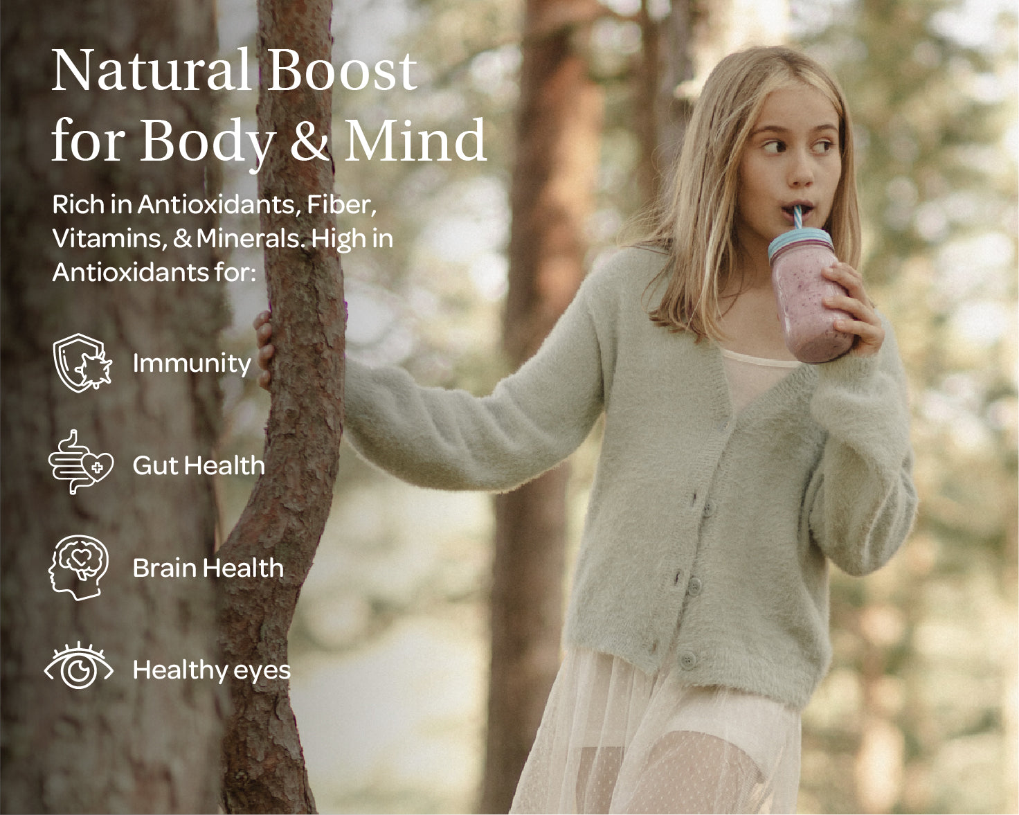 “Three packets of LOOV’s Detox Bundle – freeze-dried wild blueberry powder in resealable stand-up pouches, each with a blue and white label featuring images of wild blueberries.”