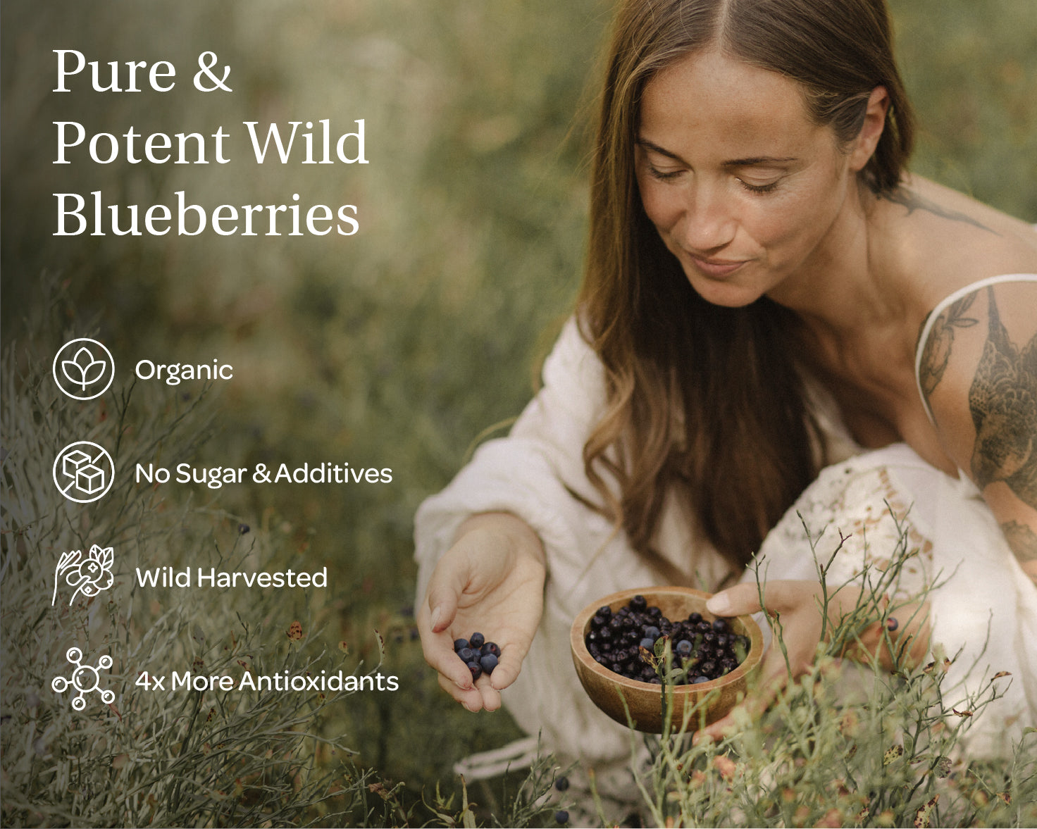 “Three packets of LOOV’s Detox Bundle – freeze-dried wild blueberry powder in resealable stand-up pouches, each with a blue and white label featuring images of wild blueberries.”