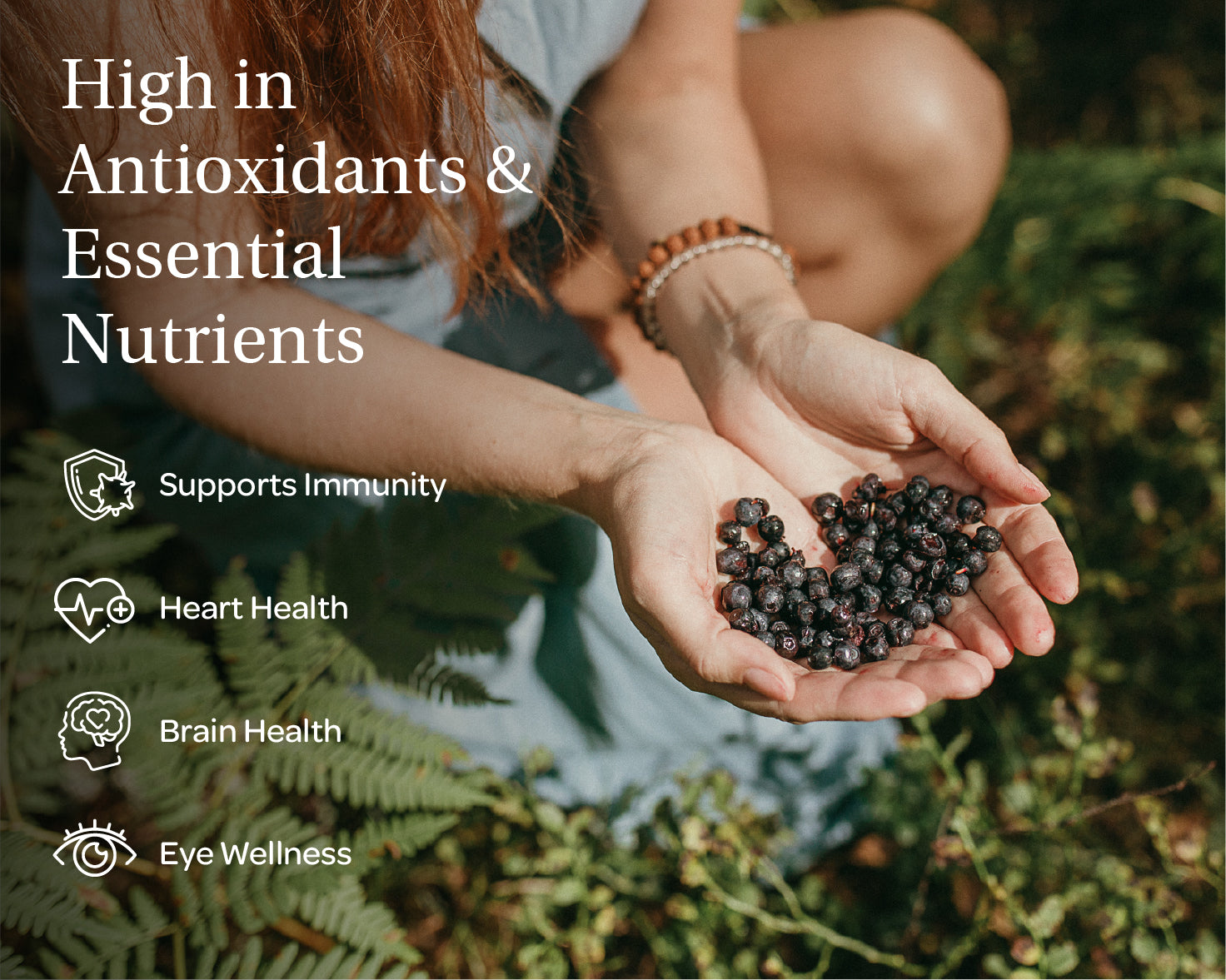 Wild Berry Try-Out Bundle