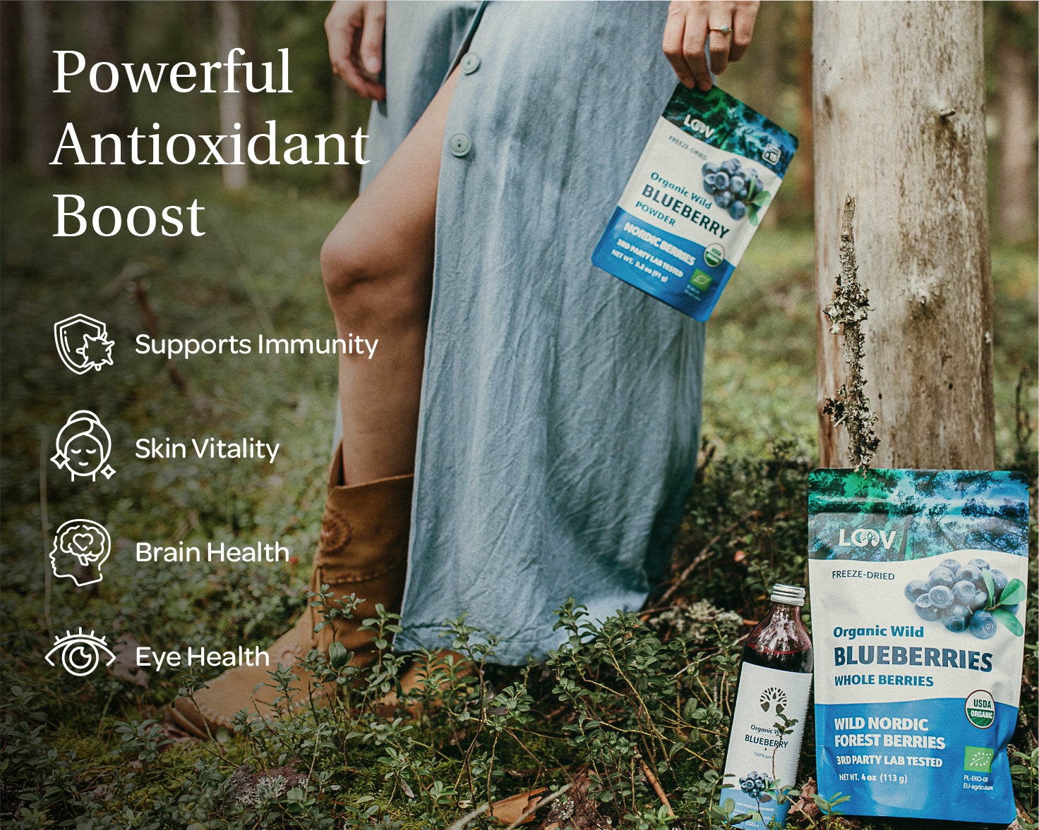 “Stand-up pouch of LOOV Freeze-Dried Organic Whole Wild Blueberries with blue and white packaging, showing a cluster of blueberries on the front and a small heap of dried blueberries beside it.”