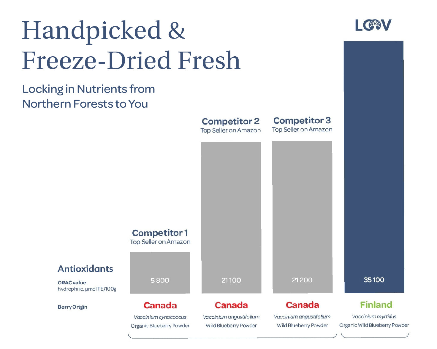 “Stand-up pouch of LOOV Freeze-Dried Organic Whole Wild Blueberries with blue and white packaging, showing a cluster of blueberries on the front and a small heap of dried blueberries beside it.”