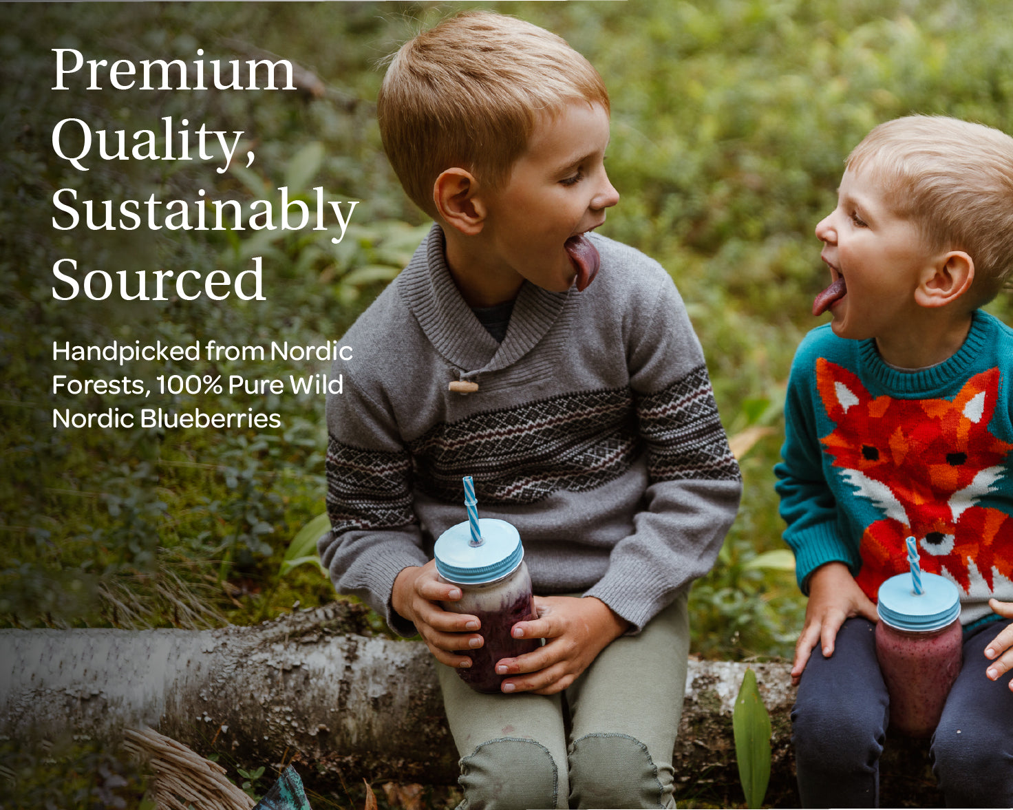 “Three packets of LOOV’s Detox Bundle – freeze-dried wild blueberry powder in resealable stand-up pouches, each with a blue and white label featuring images of wild blueberries.”