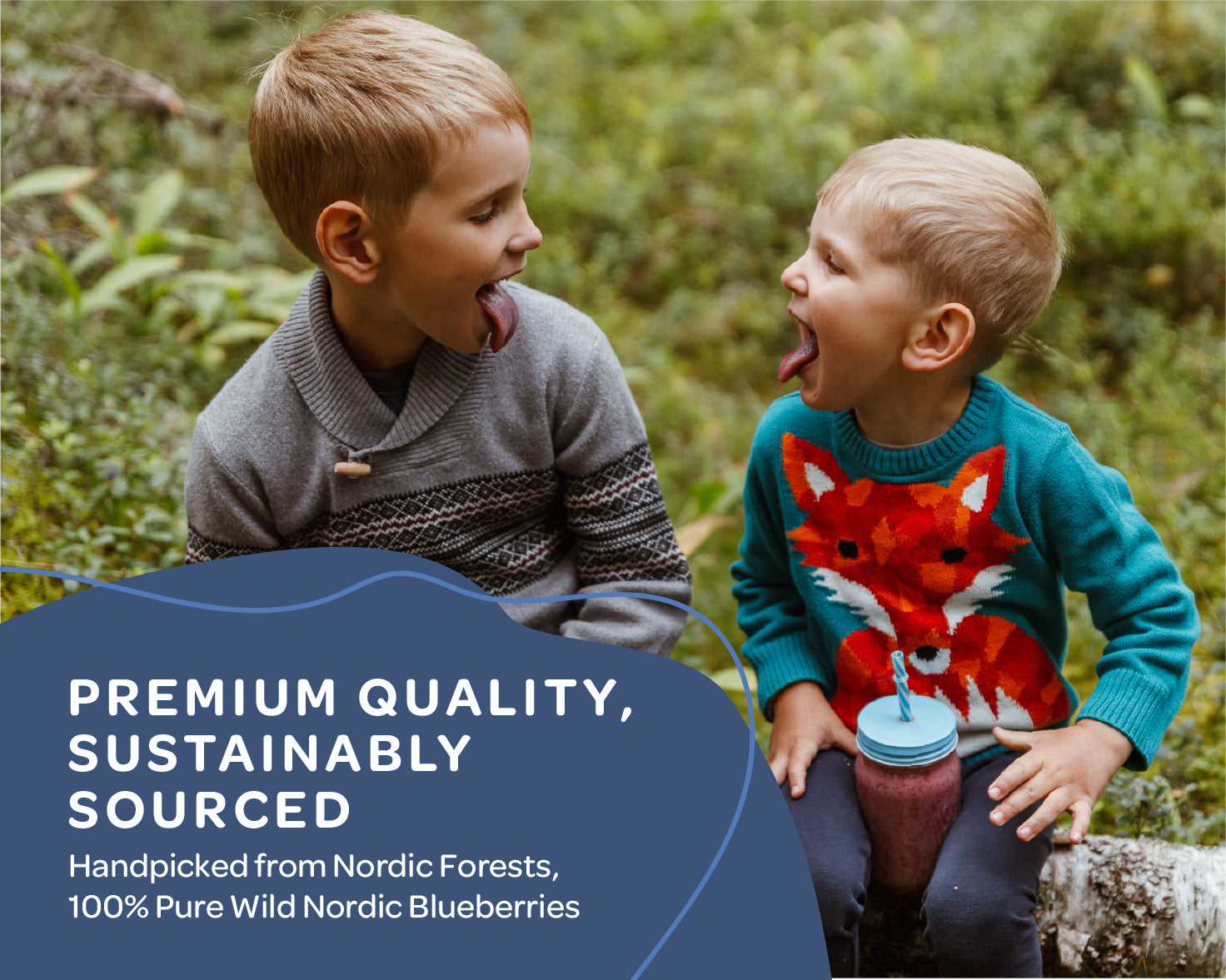 “A stand-up pouch of LOOV Organic Wild Blueberry Powder in blue and white packaging with images of wild blueberries and a small pile of deep purple powder displayed in front.”