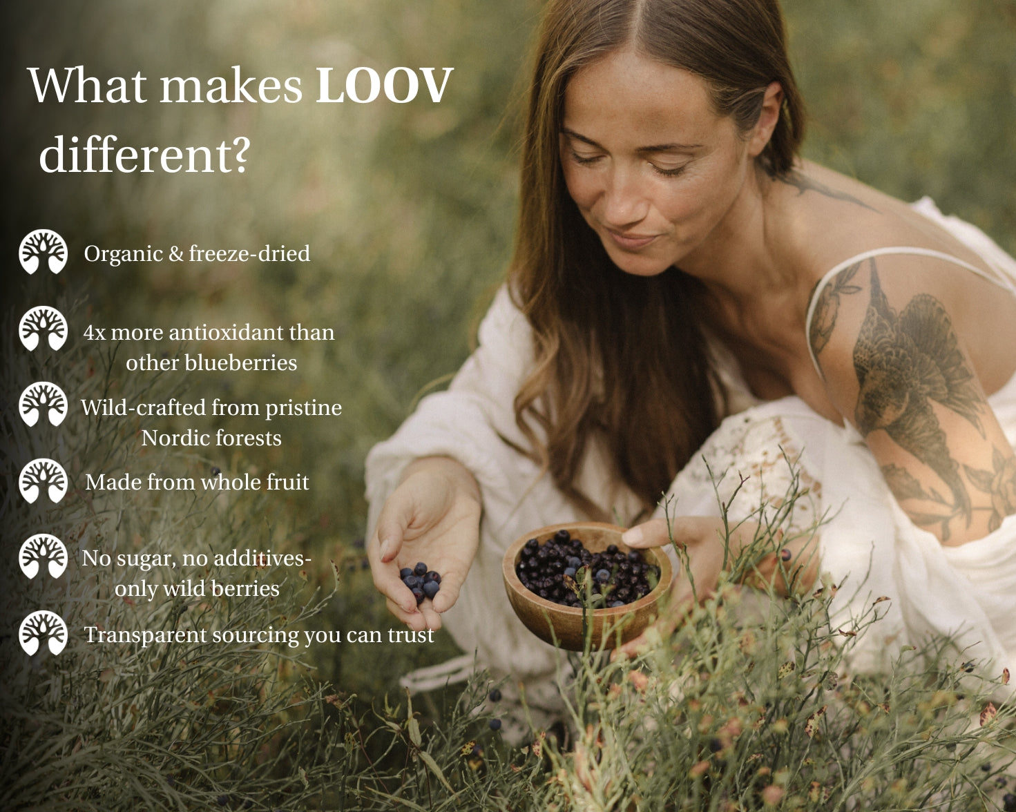 Blueberry Powder | Wild & Freeze Dried | LOOV Organic