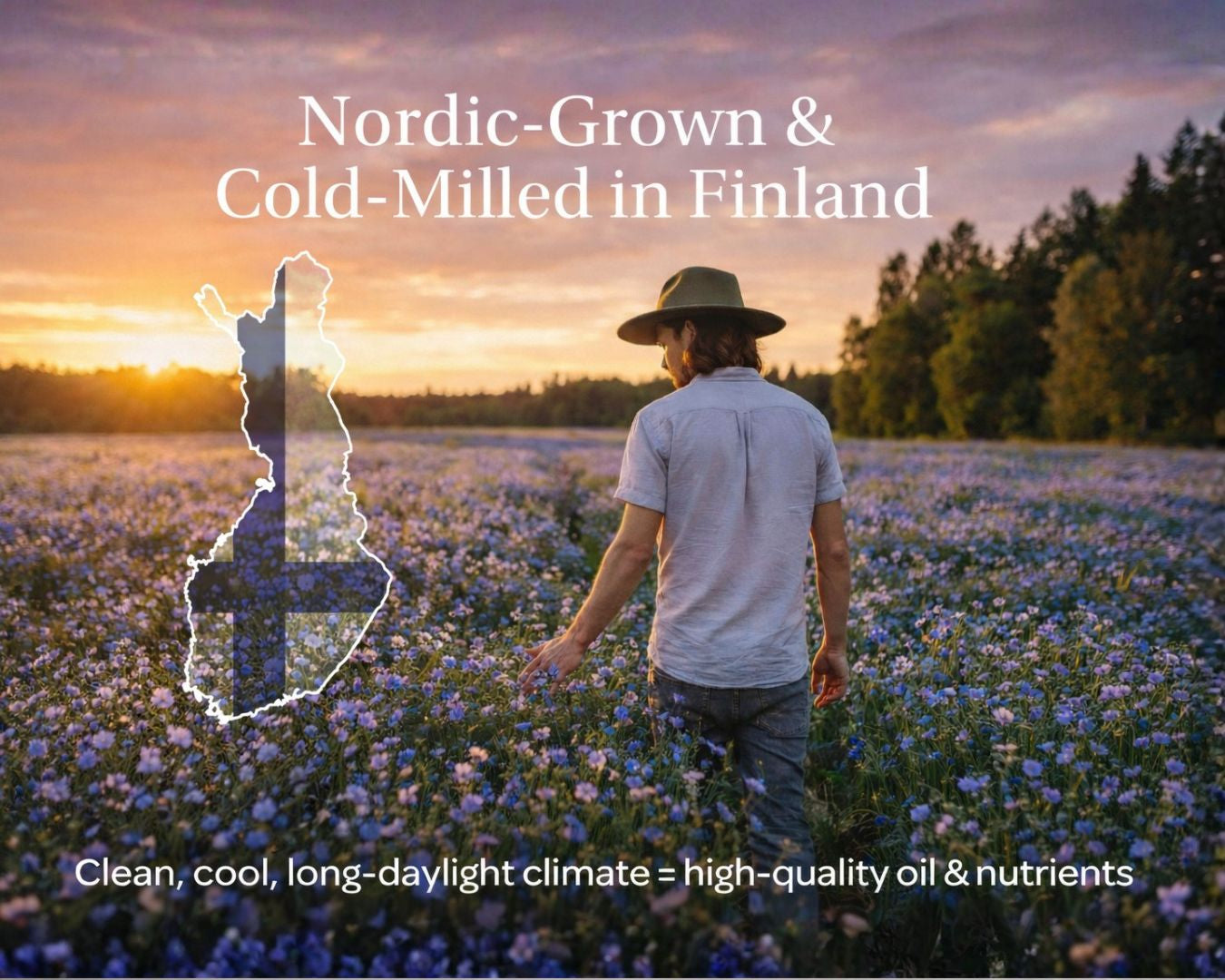 Flaxseed Powder | Organic & Cold-Milled