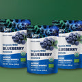 “Three packets of LOOV’s Detox Bundle – freeze-dried wild blueberry powder in resealable stand-up pouches, each with a blue and white label featuring images of wild blueberries.”