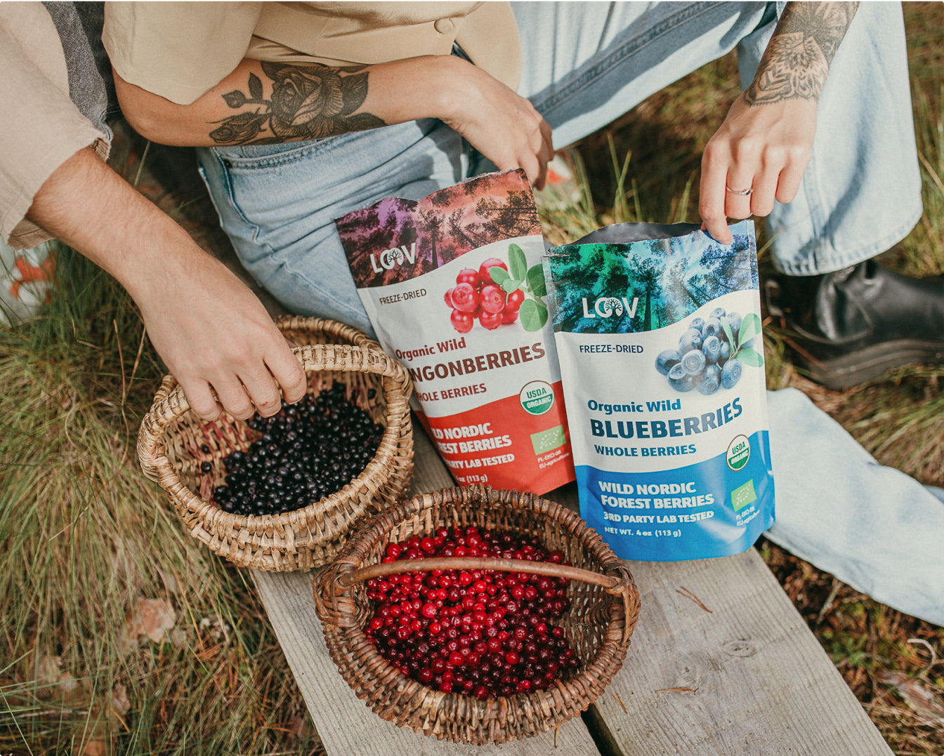 Freeze Dried Blueberries | Wild Blueberries | LOOV Organic